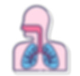 lung2_2x.png